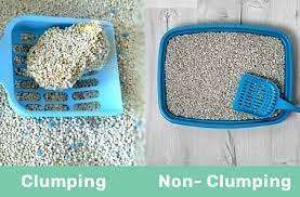 Clumping Cat Litter Vs Non-Clumping Cat Litter-WildCreaturey