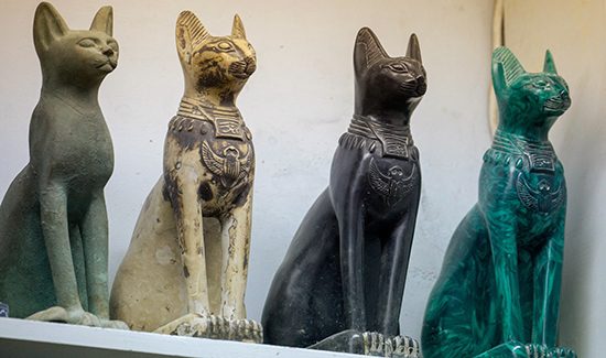 Mystical Wonders of Egyptian Cat Breeds