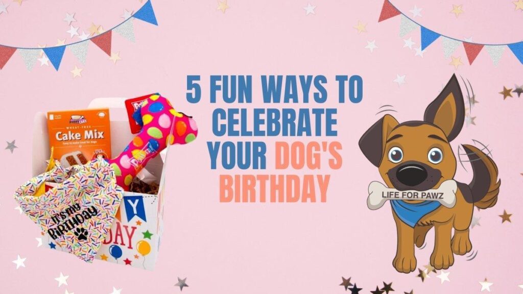 5 Ways to Celebrate Your Dog's Birthday-WildCreaturey