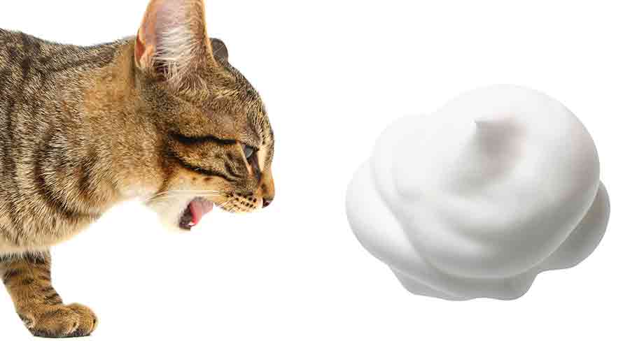 Addressing the Concern: Cat Vomiting White Foam