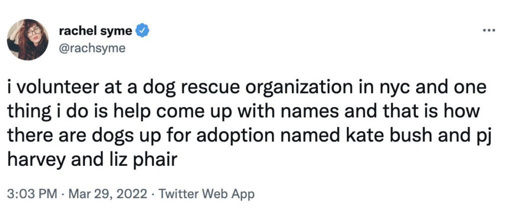 Animal Shelter Volunteers Give Their Dogs Wild Names-WildCreaturey