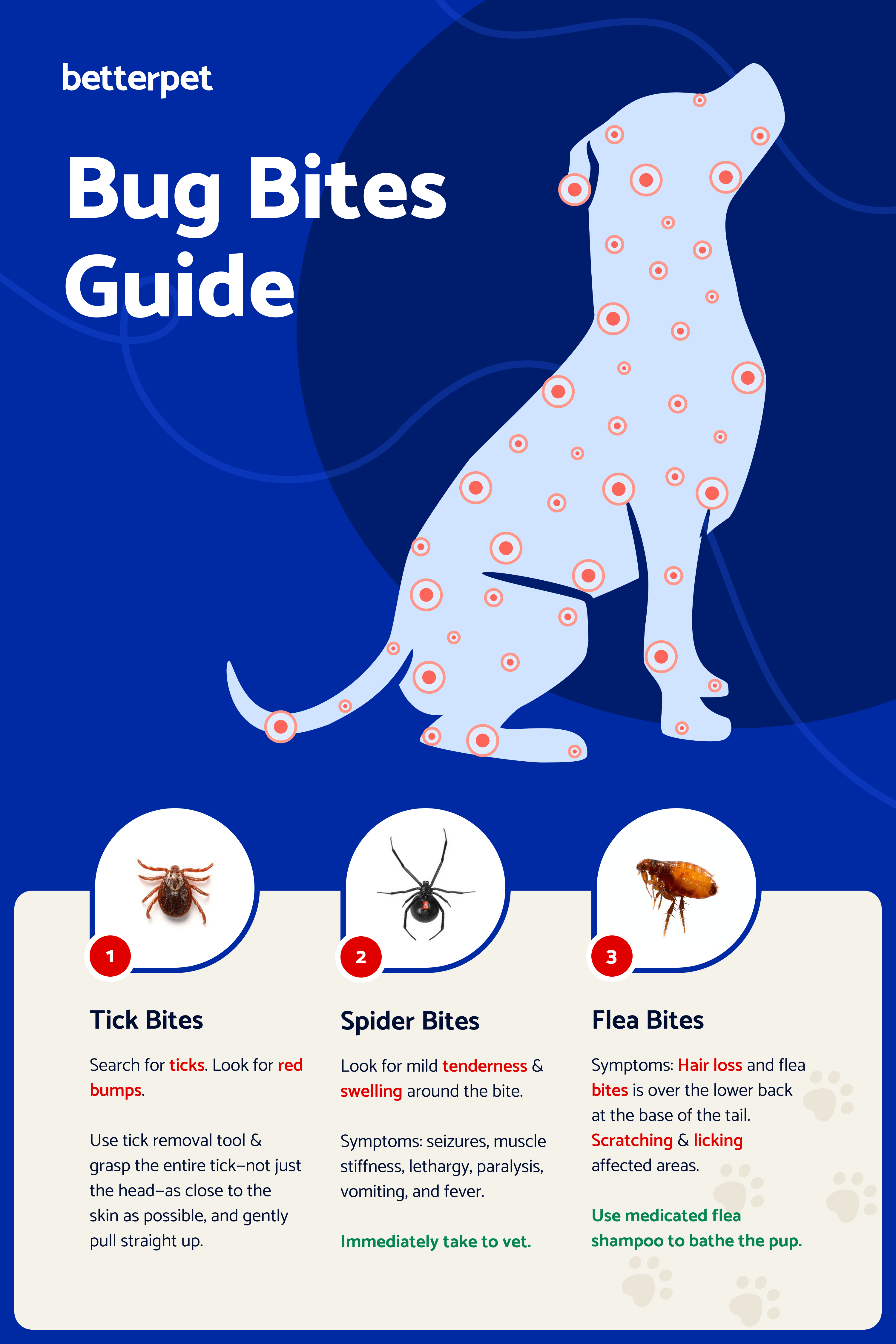 Ant Bites and Stings in Dogs-WildCreaturey