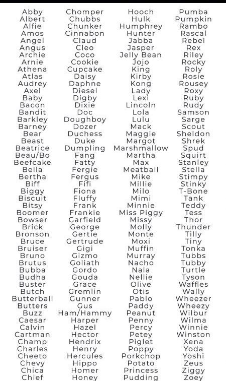 Best Female Bulldog Names for Your Pooch-WildCreaturey