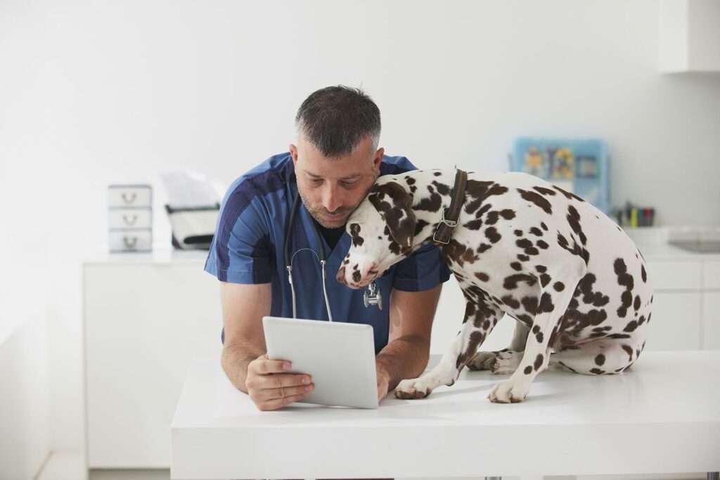 Best Online Veterinarians-WildCreaturey