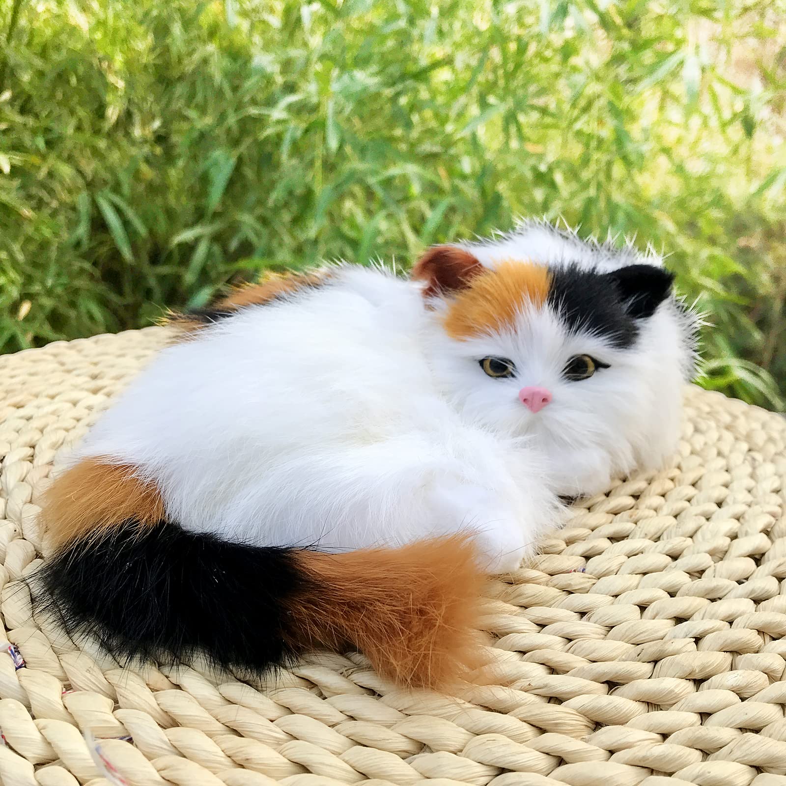 Colorful & Cute Dive Into Calico Cat Traits WildCreaturey