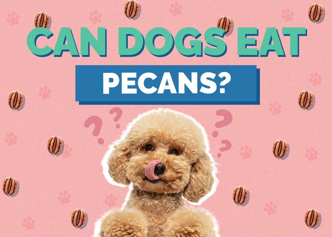 Can Dogs Eat Pecans?-WildCreaturey