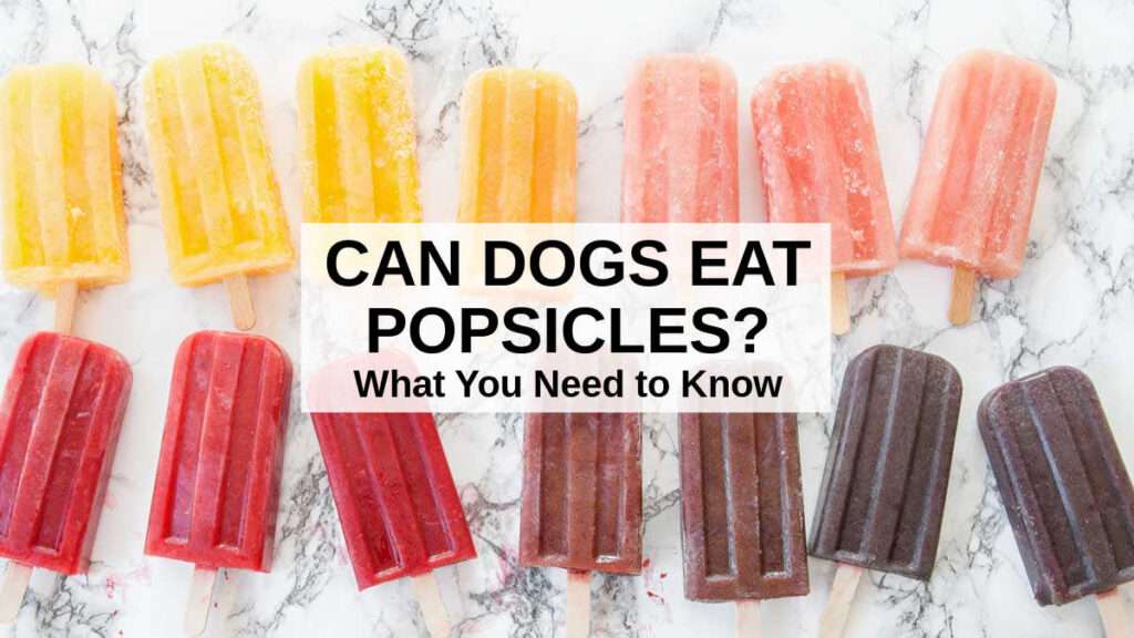 Can Dogs Eat Popsicles?-WildCreaturey