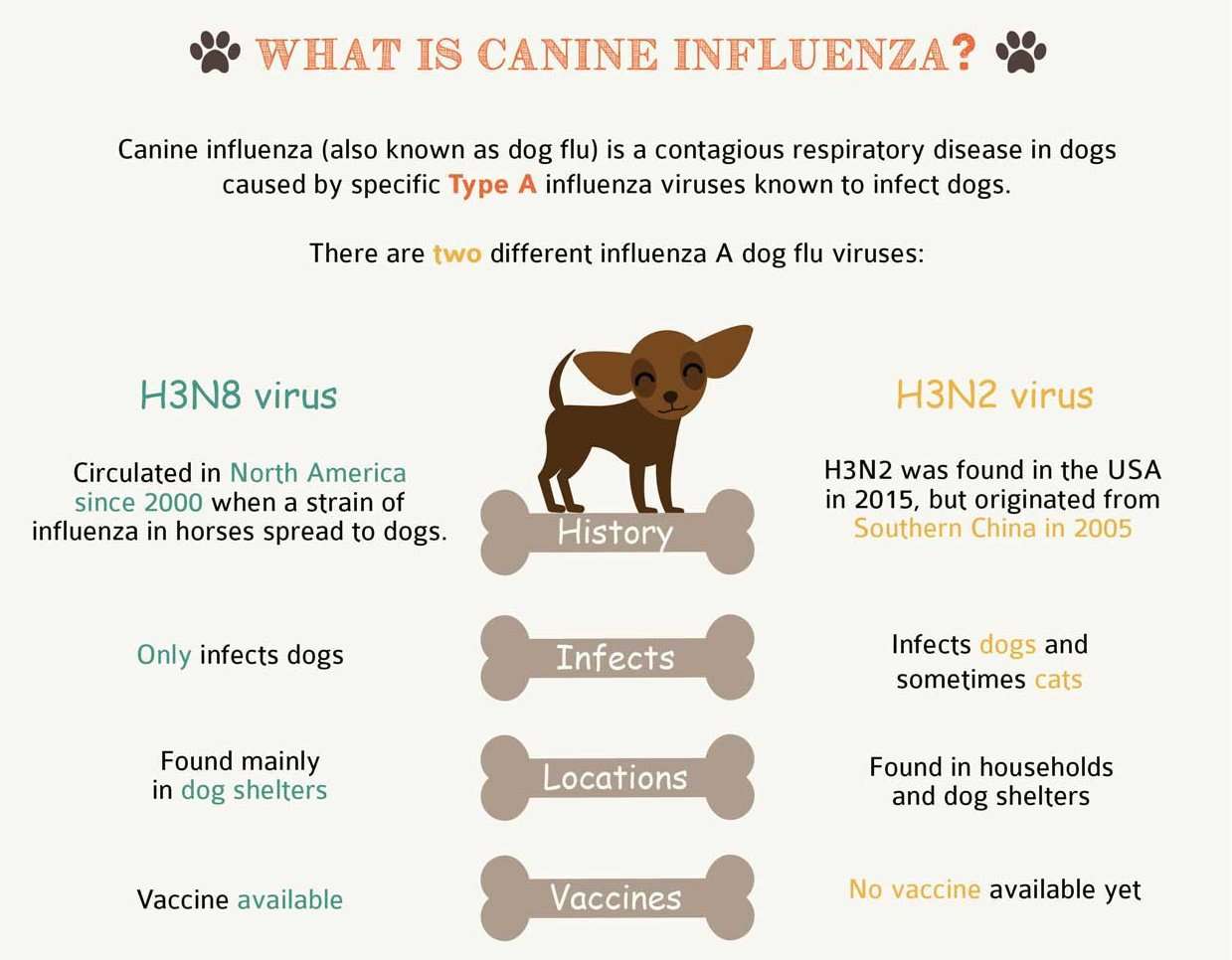 Canine Influenza in Dogs-WildCreaturey