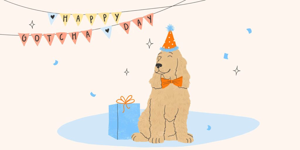 Celebrate Your Dog's Adoption Day: Ideas & Tips-WildCreaturey