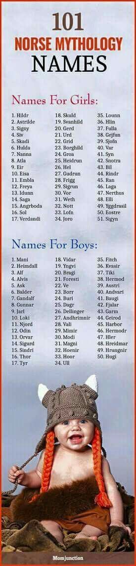 Cool Viking Dog Names-WildCreaturey