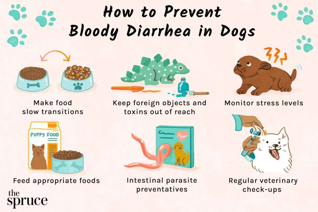 Diarrhea in Dogs-WildCreaturey