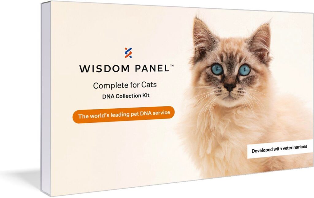 Discover the Best Cat DNA Tests