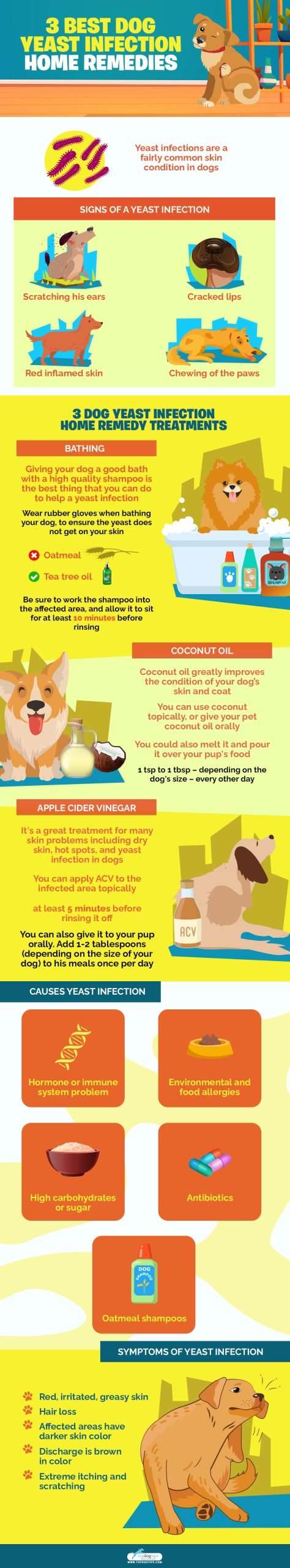 Dog Yeast Infection Home Remedy-WildCreaturey