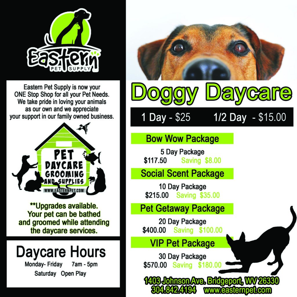 Doggie Daycare Information-WildCreaturey