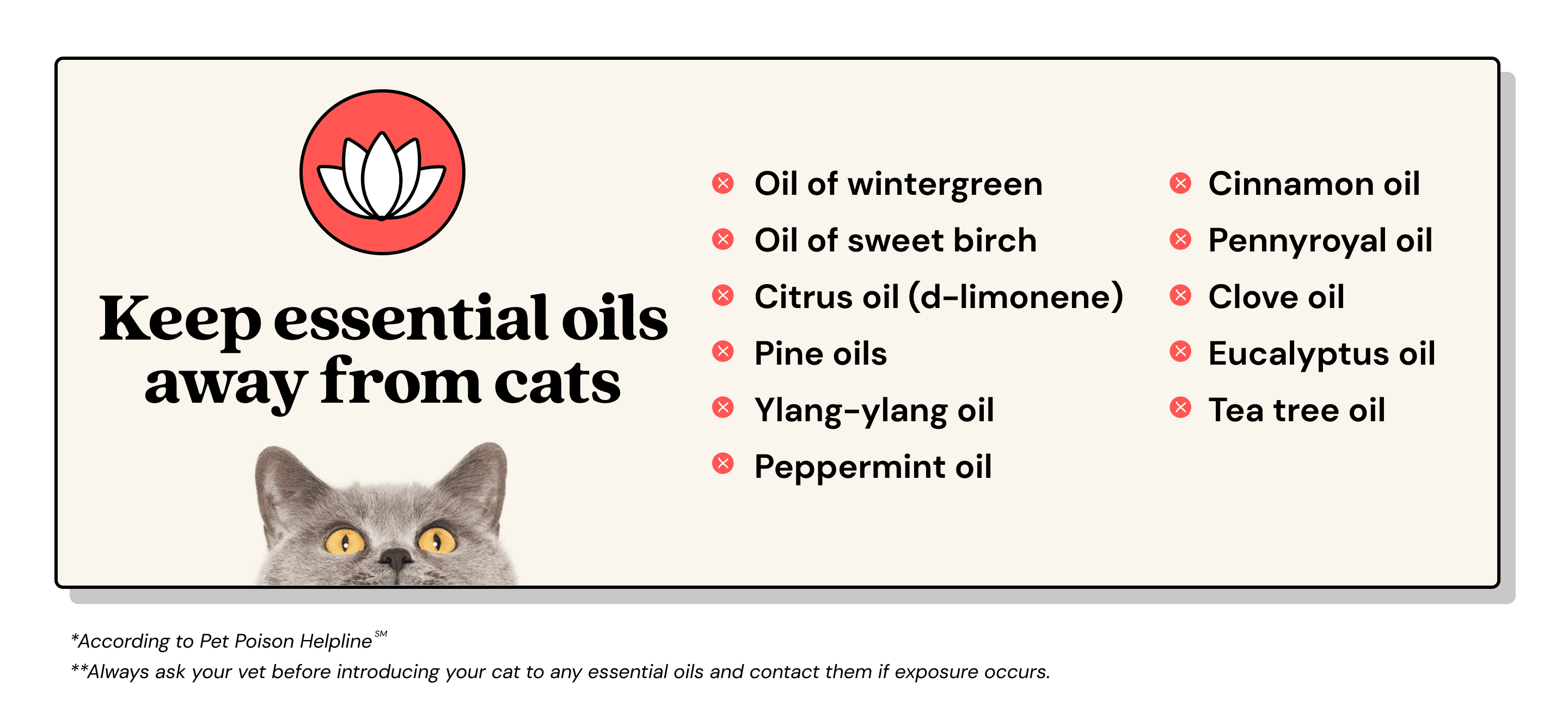 Essential Oils: A Scented Threat for Cats