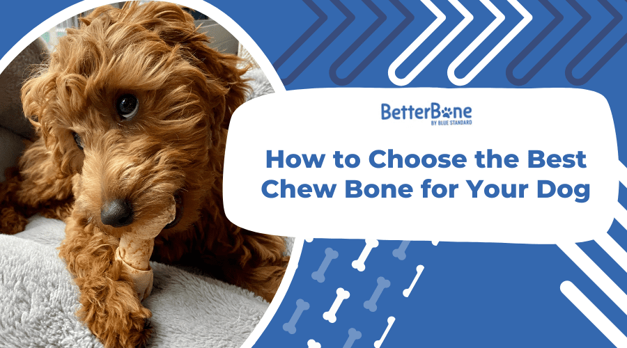 Finding the Best Dog Chews-WildCreaturey