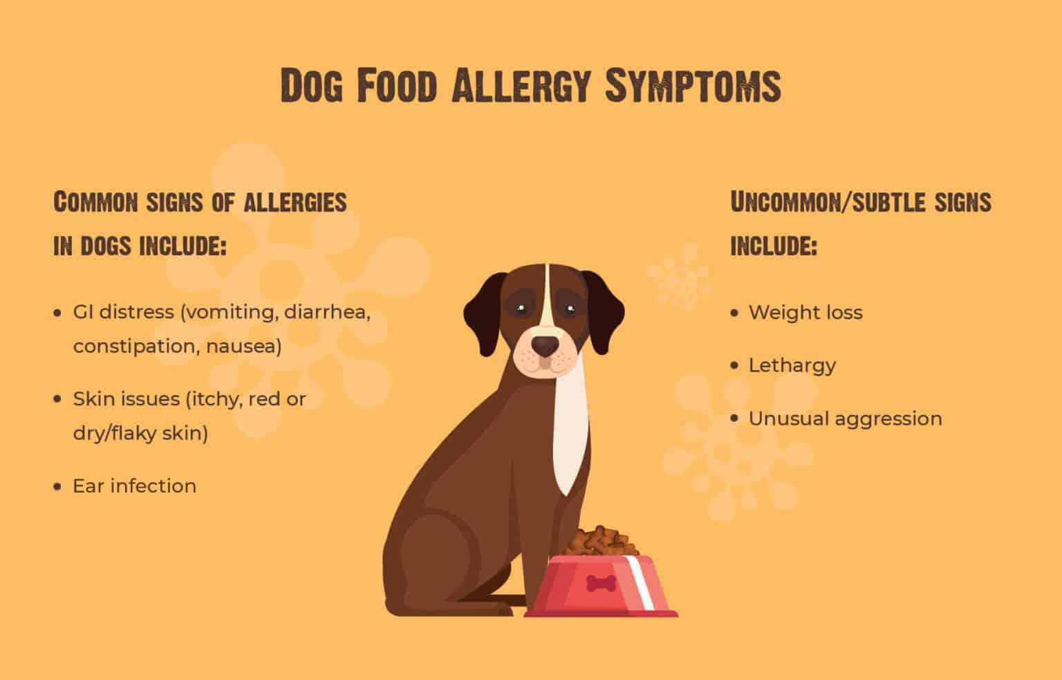 Food Allergies in Dogs-WildCreaturey