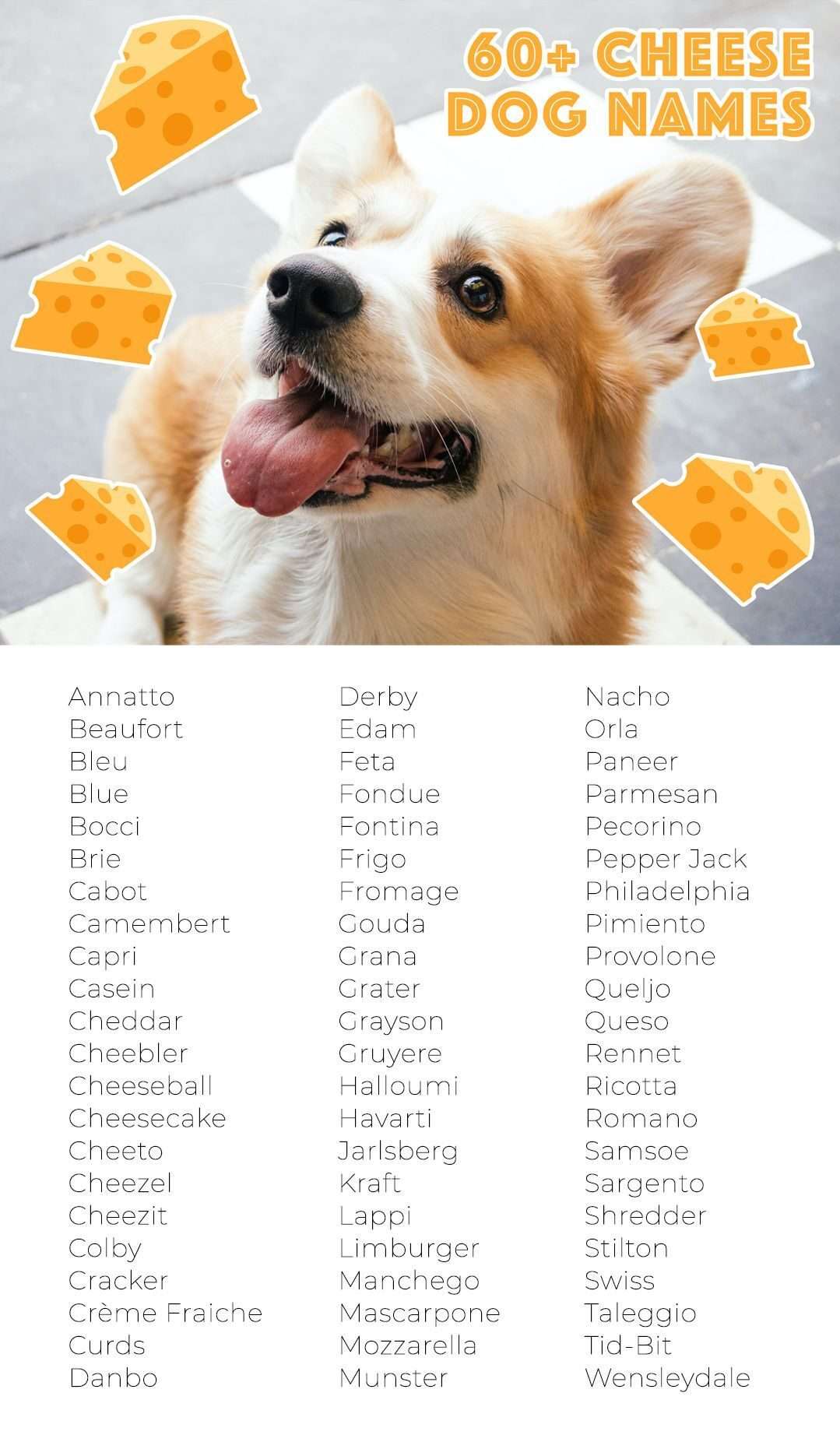 Food Names for Dogs-WildCreaturey