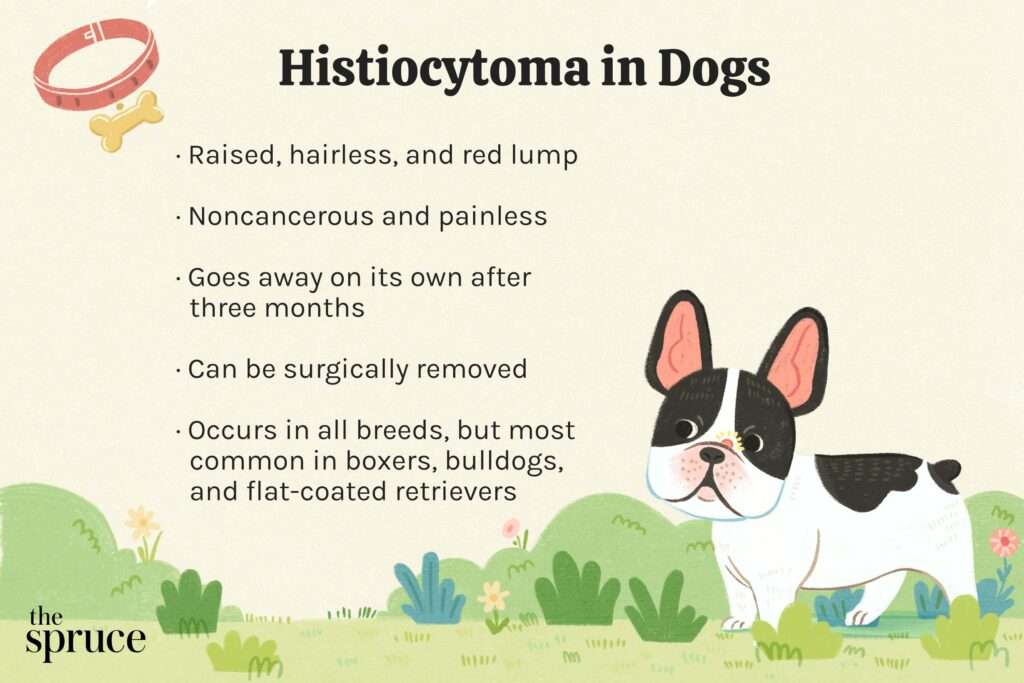 Histiocytomas in Dogs-WildCreaturey