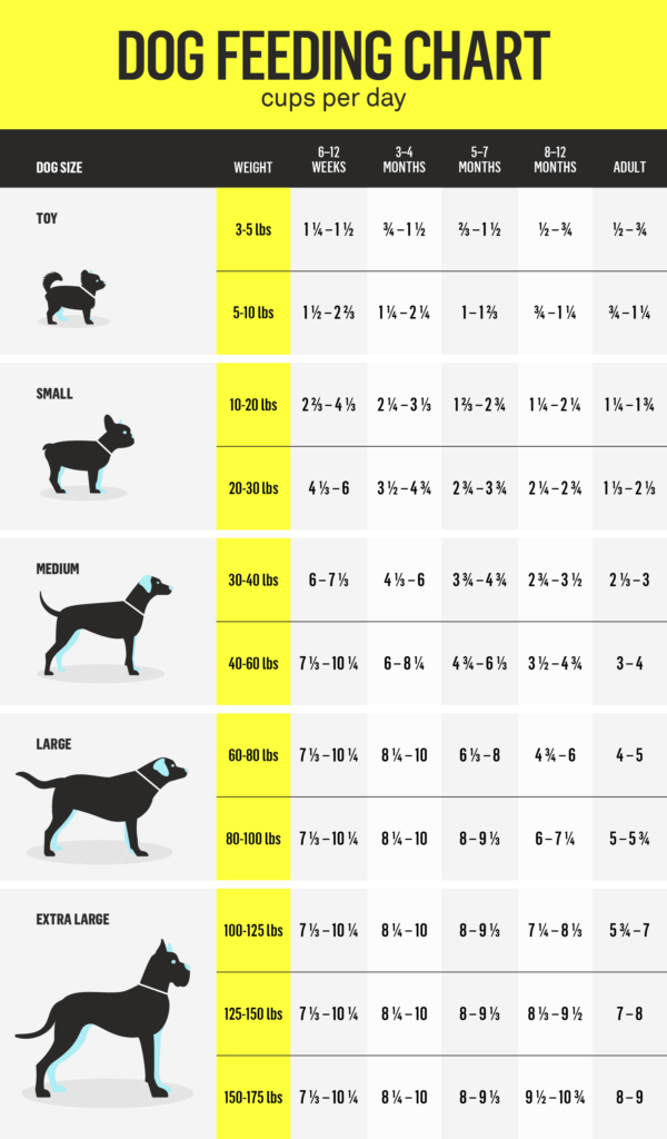 How Many Calories Should My Dog Eat Per Day?-WildCreaturey