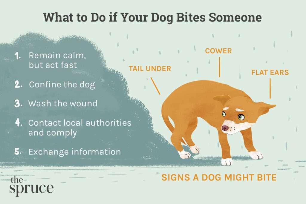 How to Stop Dog Bites-WildCreaturey