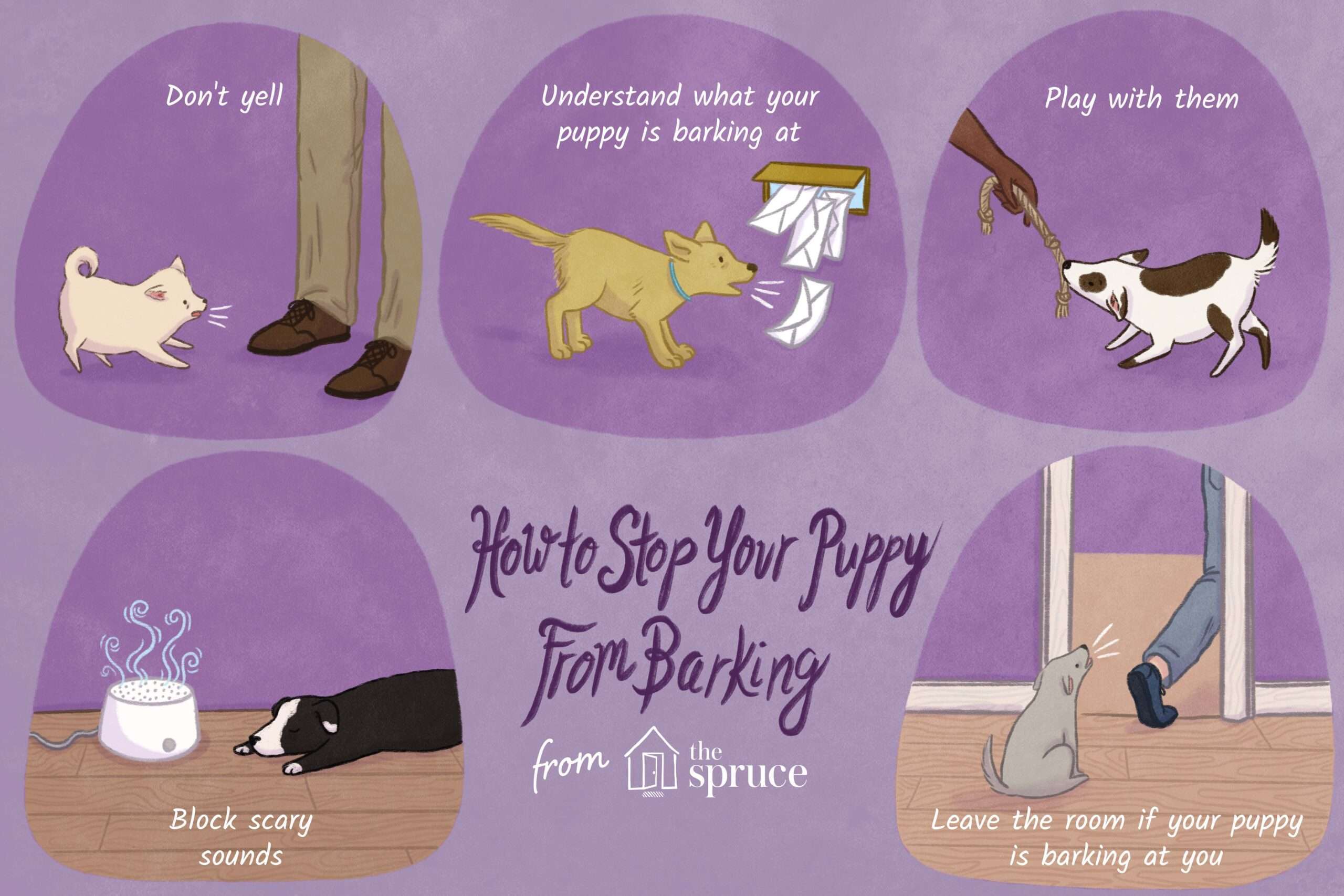 How to Stop Your Dog From Barking Excessively-WildCreaturey