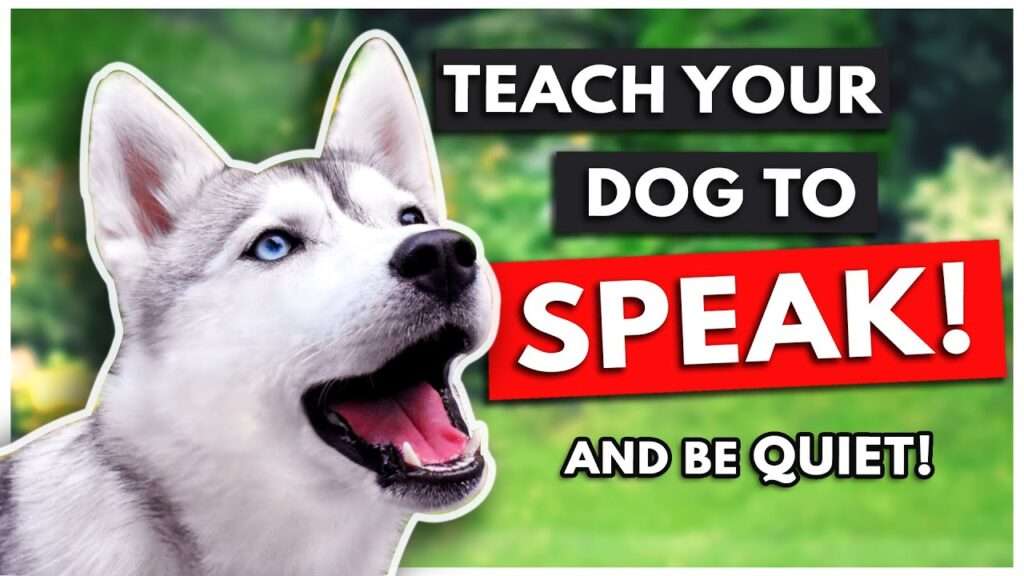 How to Train Your Dog to Speak or Be Quiet-WildCreaturey