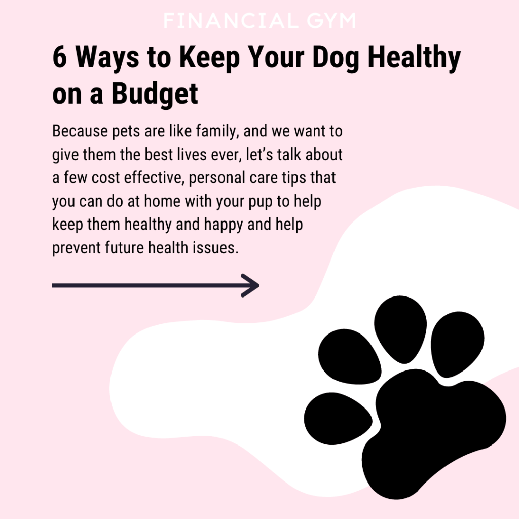 Keep Your Dog Healthy-WildCreaturey