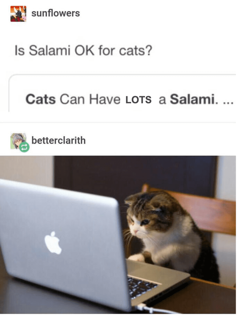 Salami Secrets: Is It Safe for Cats?