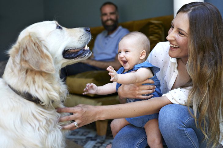 Puppy and Baby Introductions-WildCreaturey