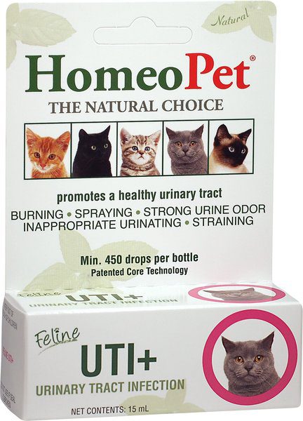 Tackling Urinary Tract Infections in Our Feline Friends