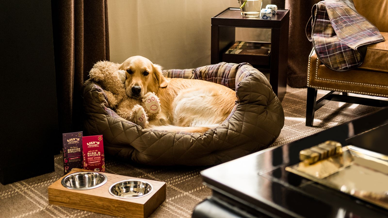 The Different Types of Dog-Friendly Hotels-WildCreaturey