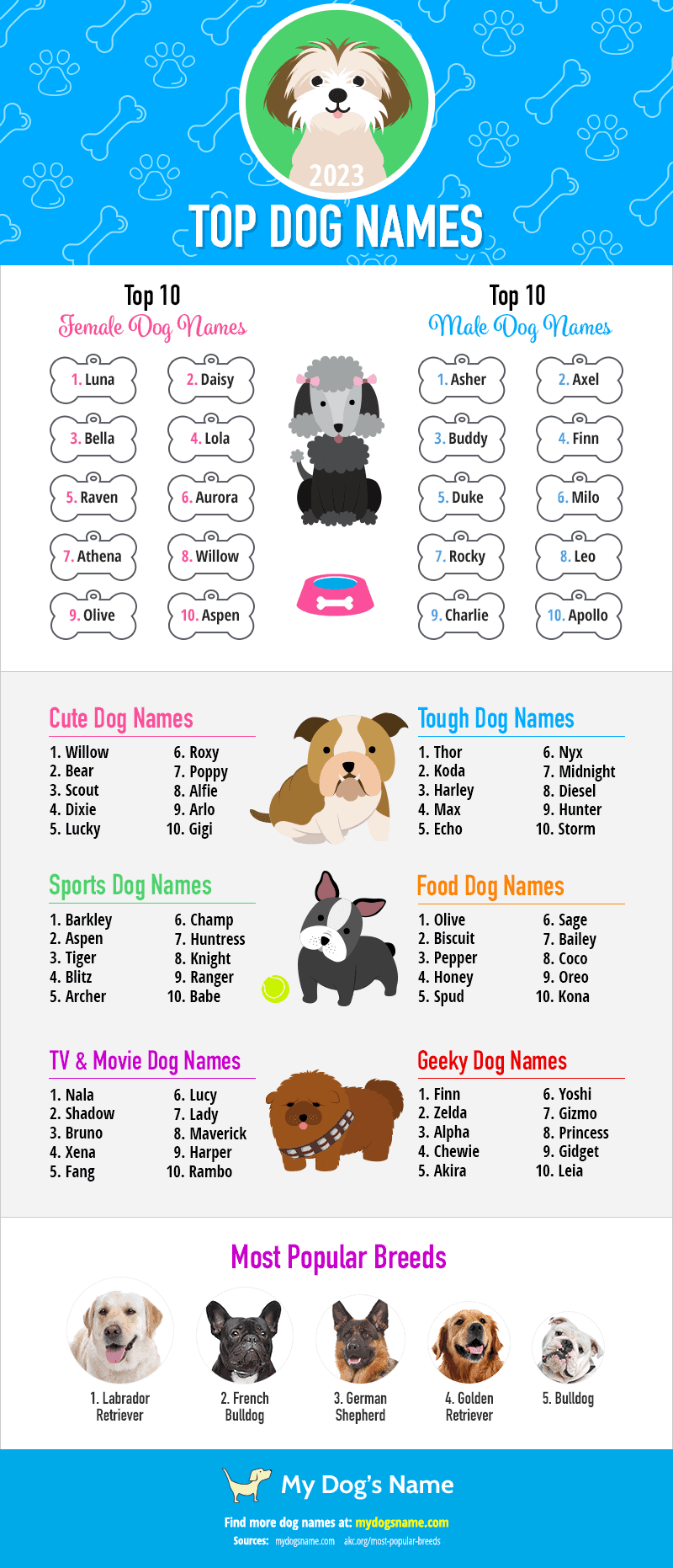 These Are the  Best Dog Names of 2023-WildCreaturey