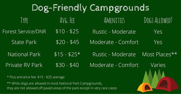 Understanding the Different Types of Dog-Friendly Campgrounds-WildCreaturey