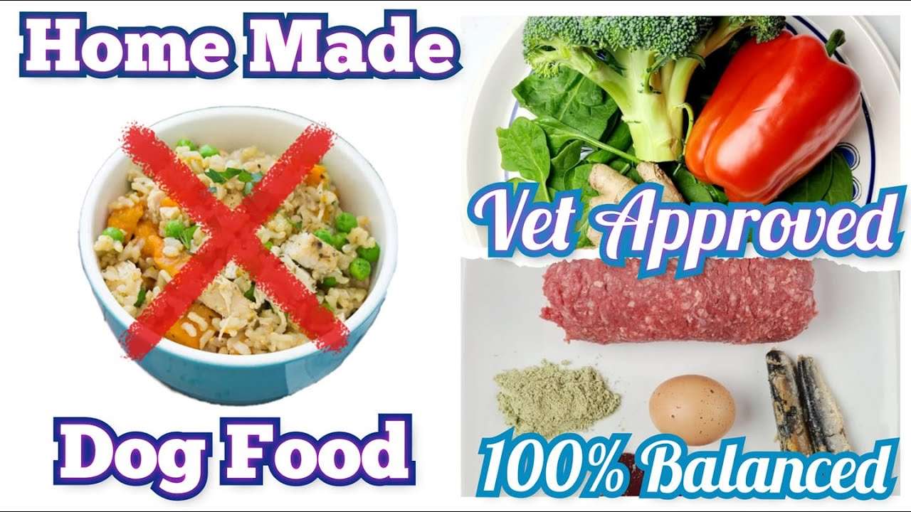 Vet-Approved Homemade Dog Food Recipes-WildCreaturey