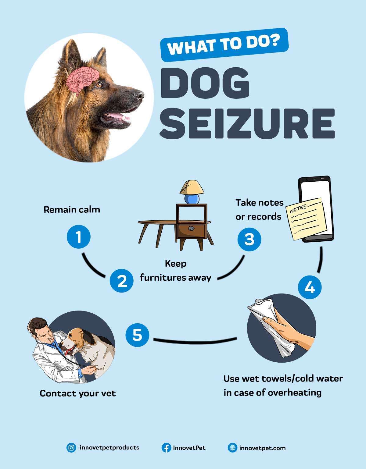 What to Do If Your Dog Has a Seizure-WildCreaturey