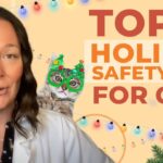 Festive Feline Safety: 10 Holiday Tips for Cat Owners