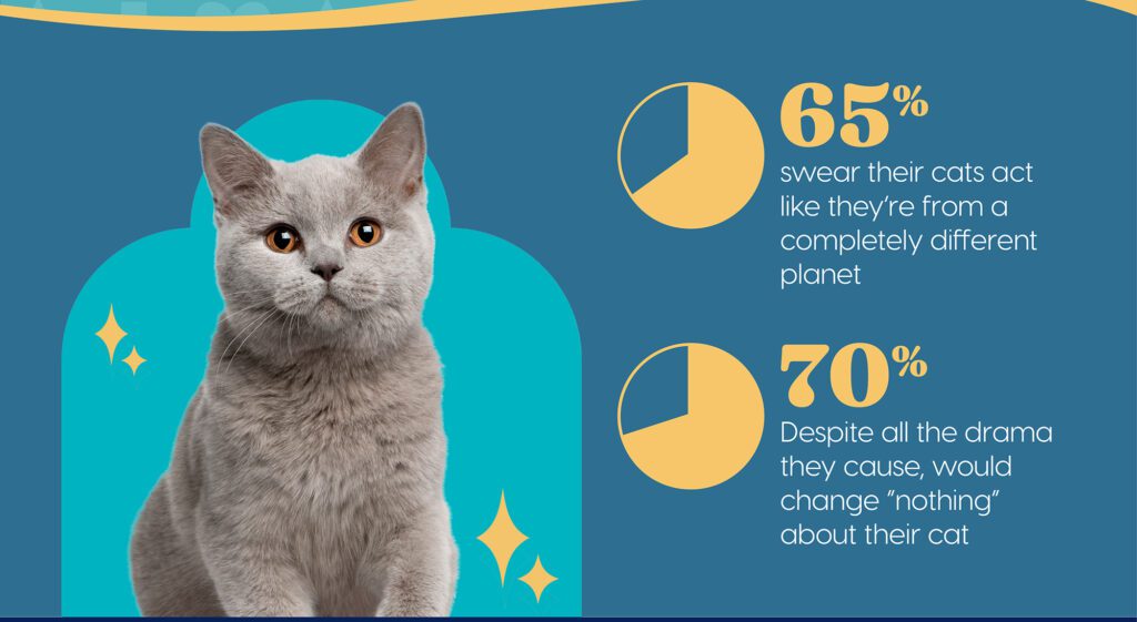 Explore the Sources of Your Cat's Personality