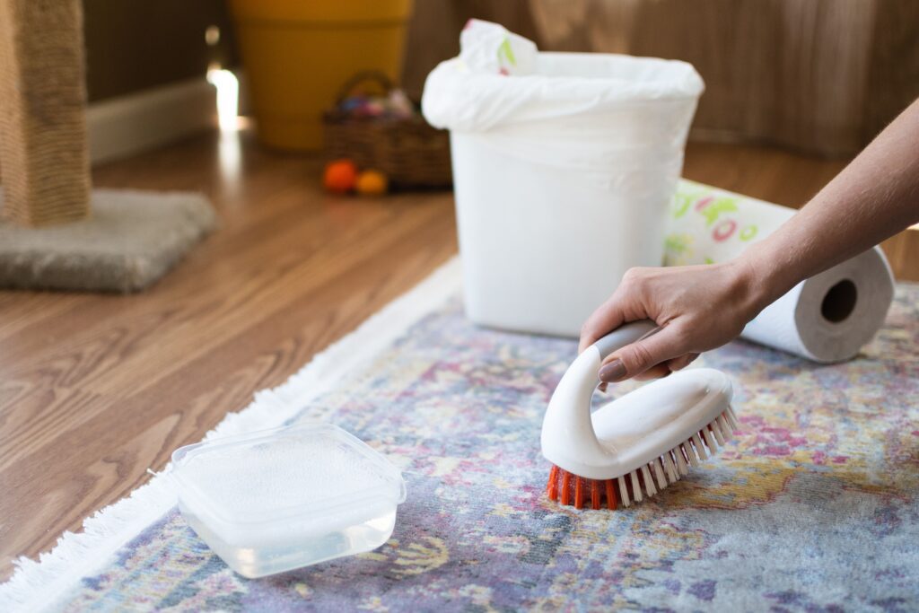 Tips for Cleaning Cat Messes and Accidents