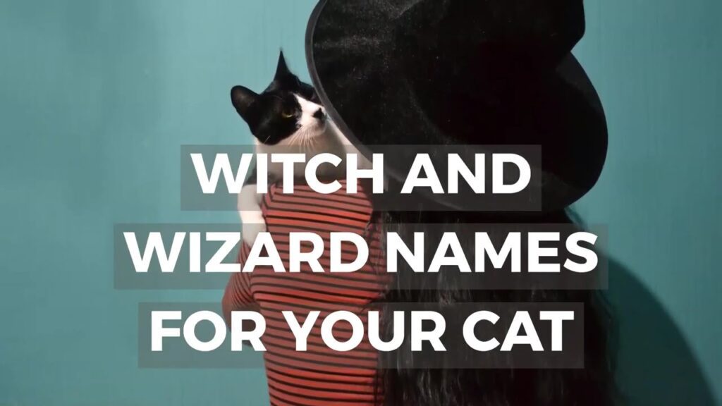 50 Perfect Witchy Names for Cats