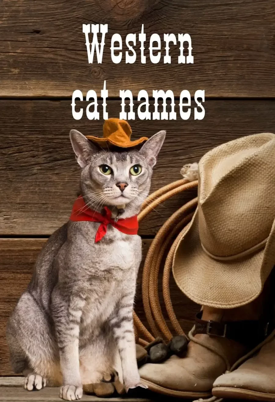 Western Cat Names