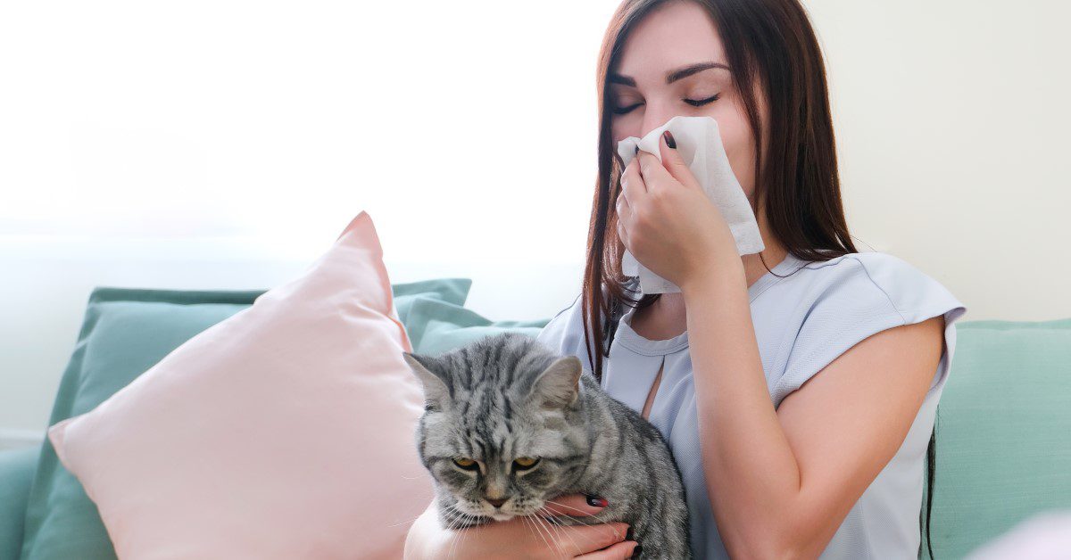 pvigIJaPB4EVXAuW0DH1A0ATV Cat Allergies