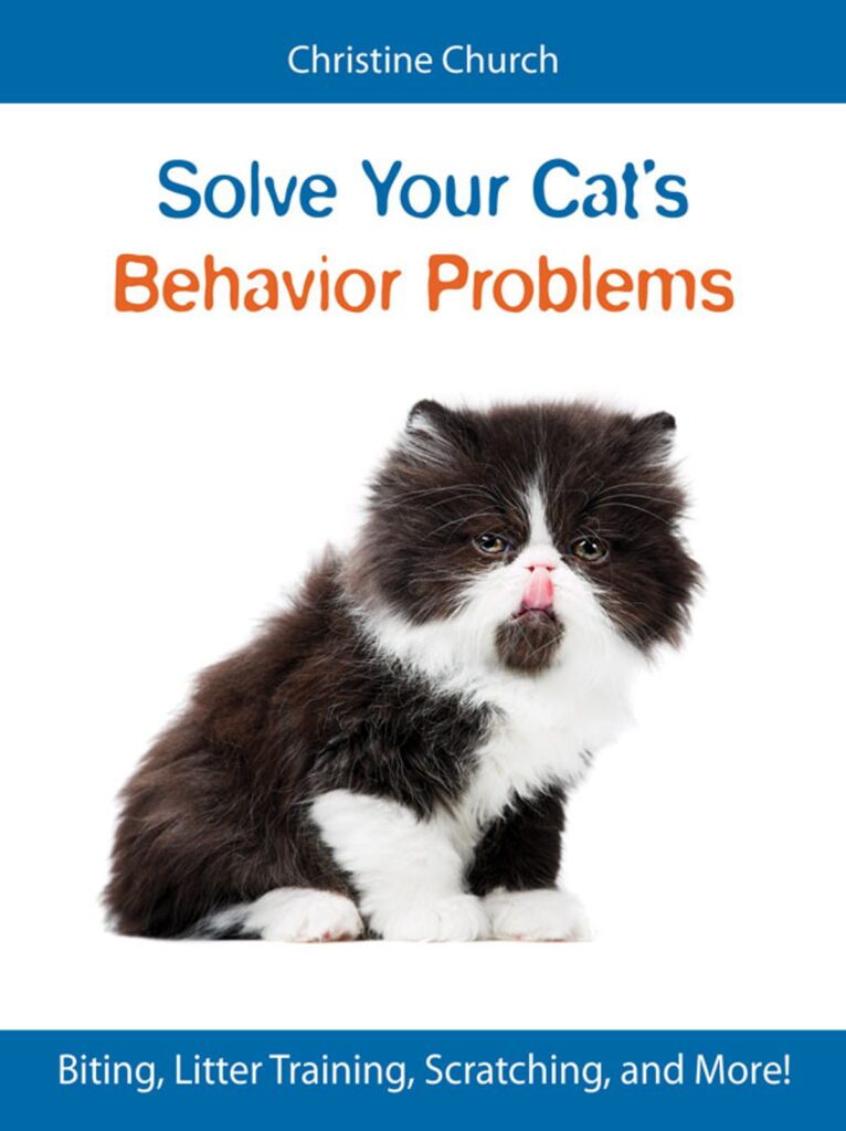 Behavior Bootcamp: Solving Common Cat Problems