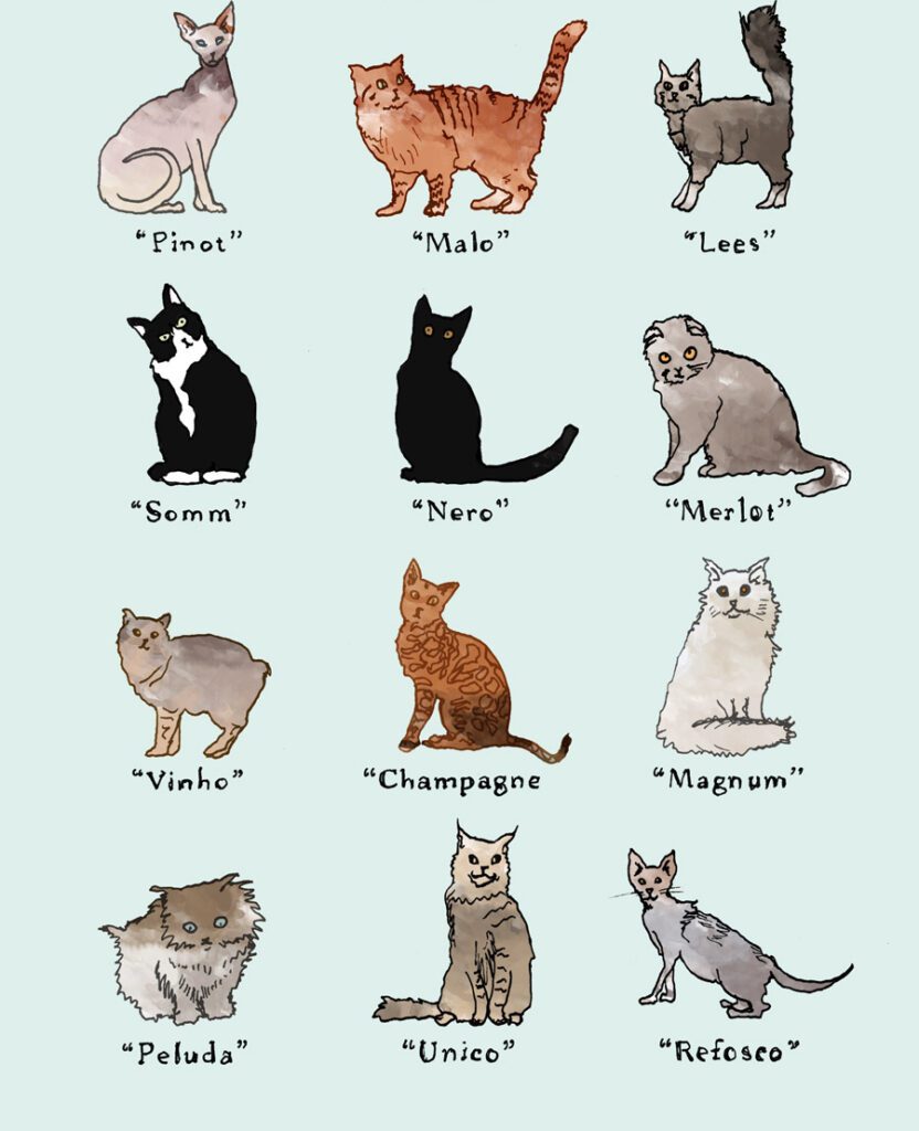 Alcoholic Names for Cats