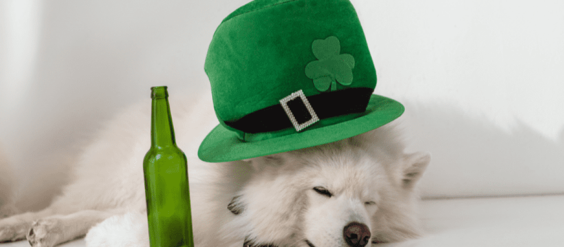 5 Ways To Celebrate Your Dogs on St. Patrick's Day-WildCreaturey