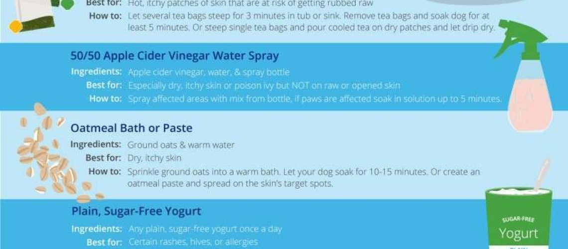 8 Home Remedies for Itchy Dog Skin-WildCreaturey