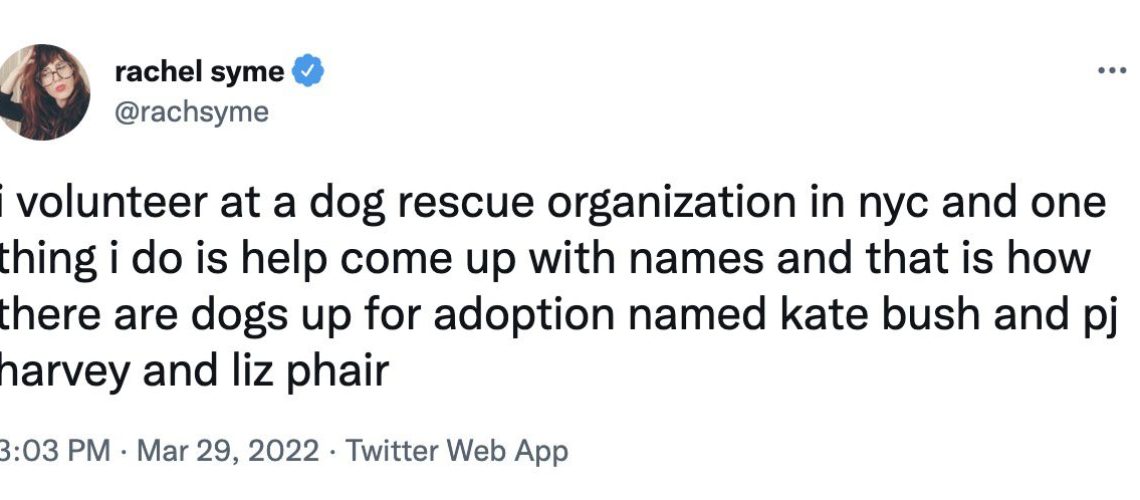 Animal Shelter Volunteers Give Their Dogs Wild Names-WildCreaturey