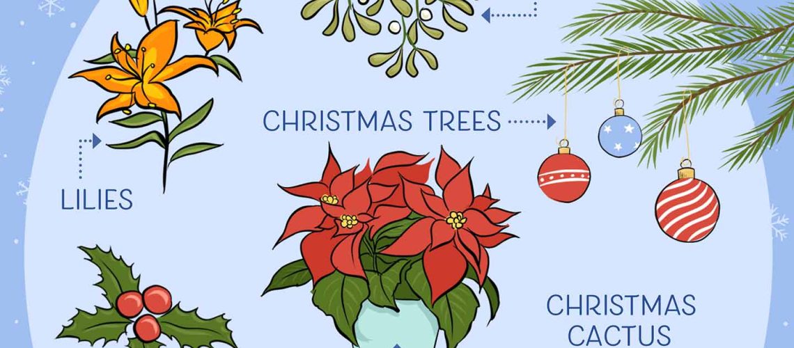 Are Christmas Trees Poisonous to Cats and Dogs?-WildCreaturey