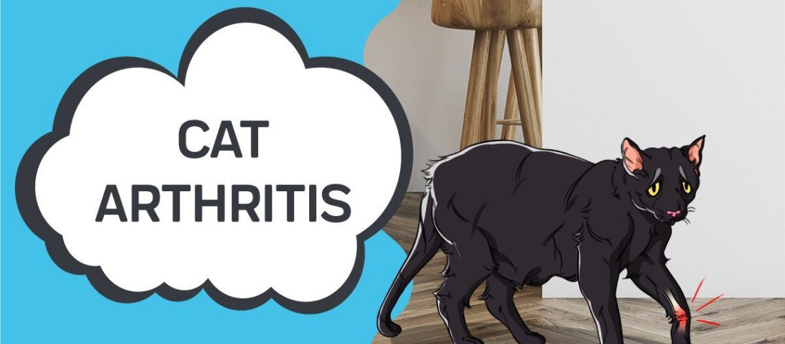 Arthritis: Easing Your Cat's Joint Pain