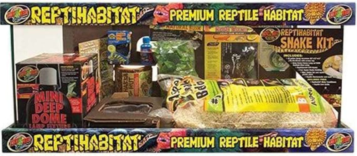 Bearded Dragon Starter Kit